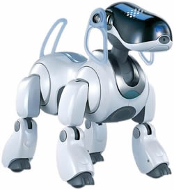 aibo.jpg